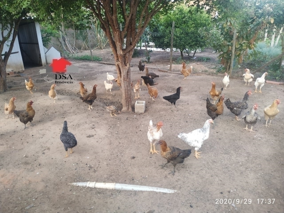 Chácara à venda com 3 quartos, 170m² - Foto 7