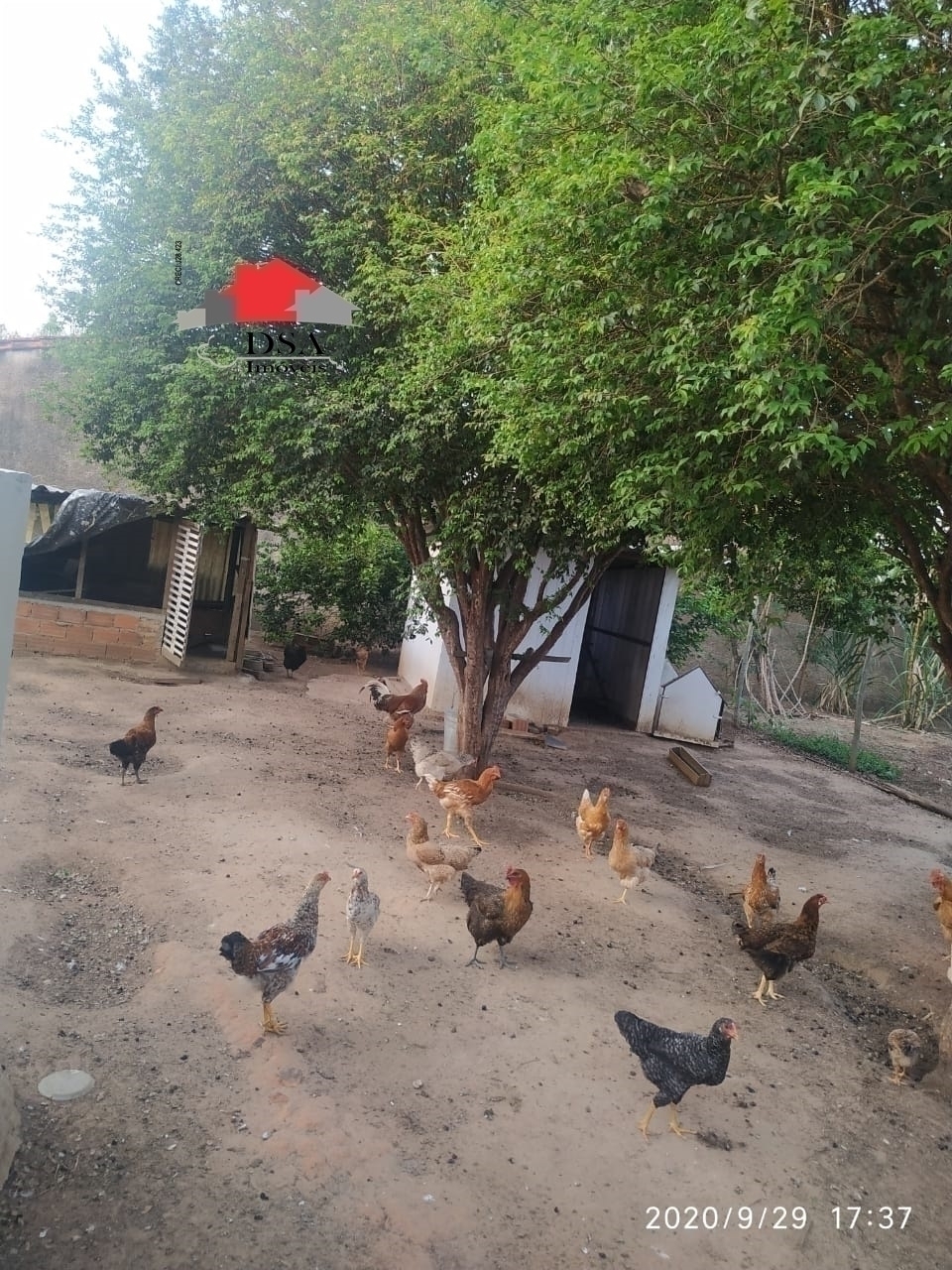 Chácara à venda com 3 quartos, 170m² - Foto 6