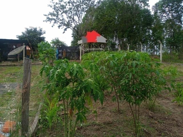 Chácara para Venda em Porangaba - 5