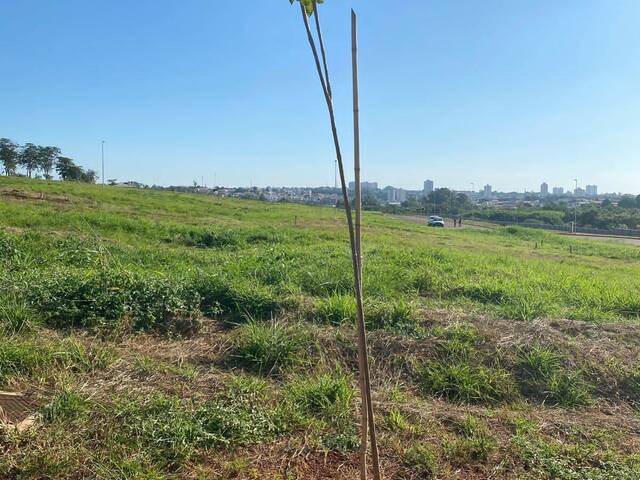Área para Venda em Nova Odessa - 4