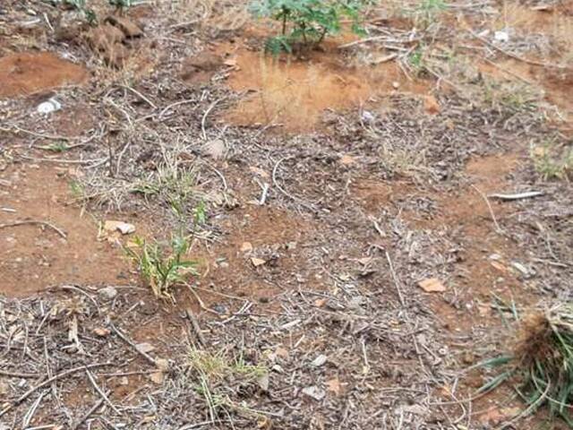 Área para Venda em Hortolândia - 2