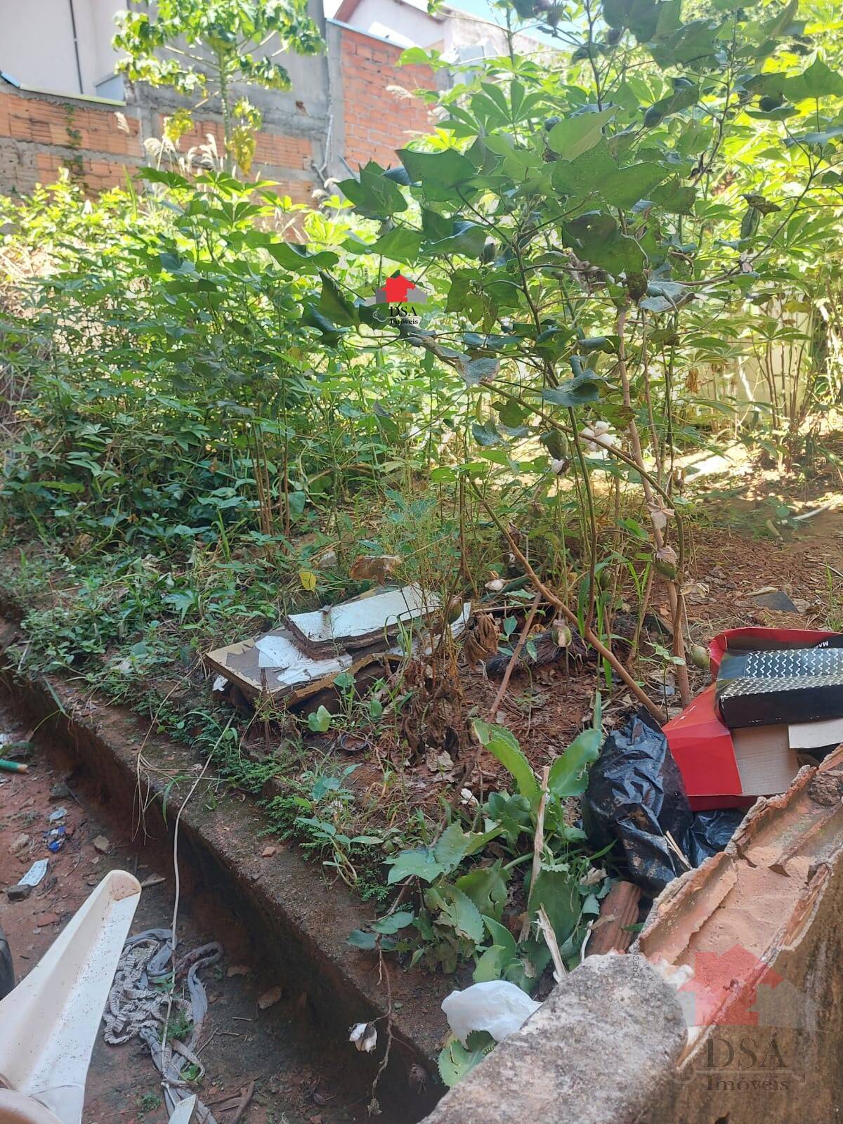 Casa, 5 quartos, 250 m² - Foto 13