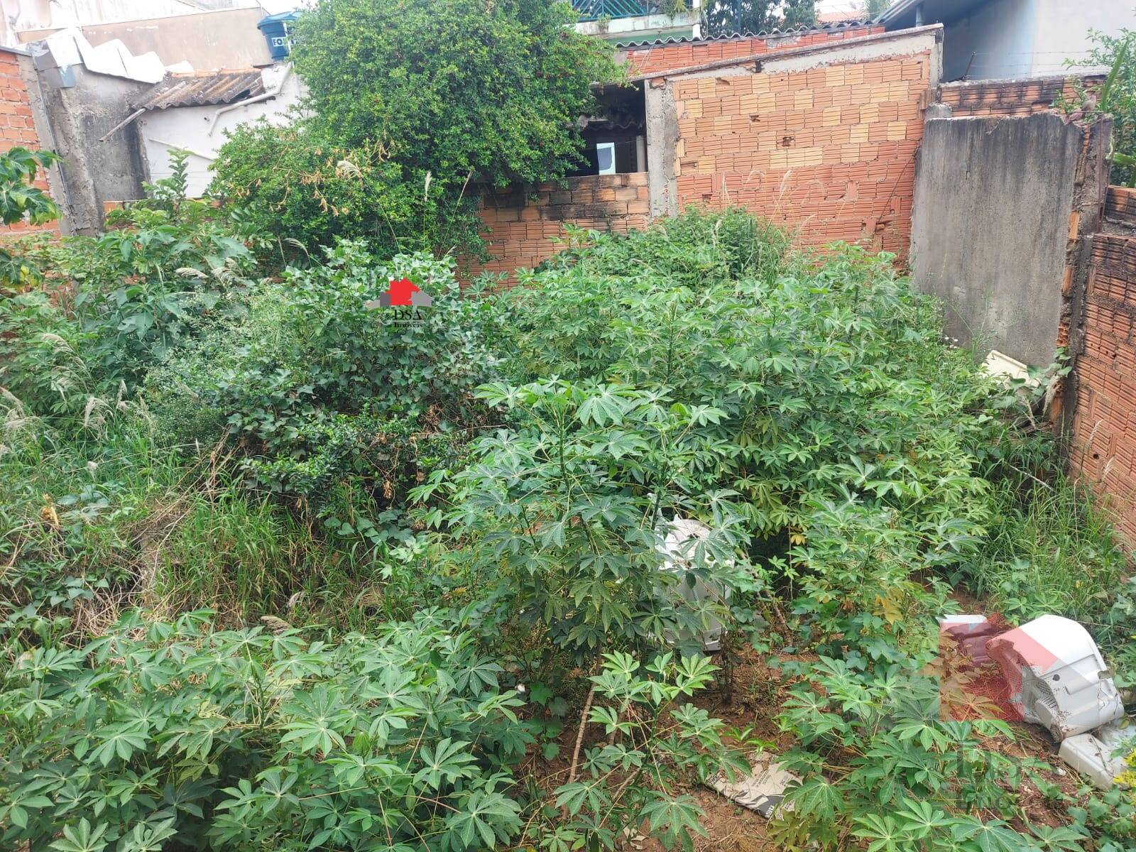 Casa, 5 quartos, 250 m² - Foto 14