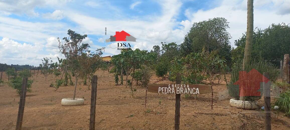 Chácara, 3 quartos, 3850 m² - Foto 10