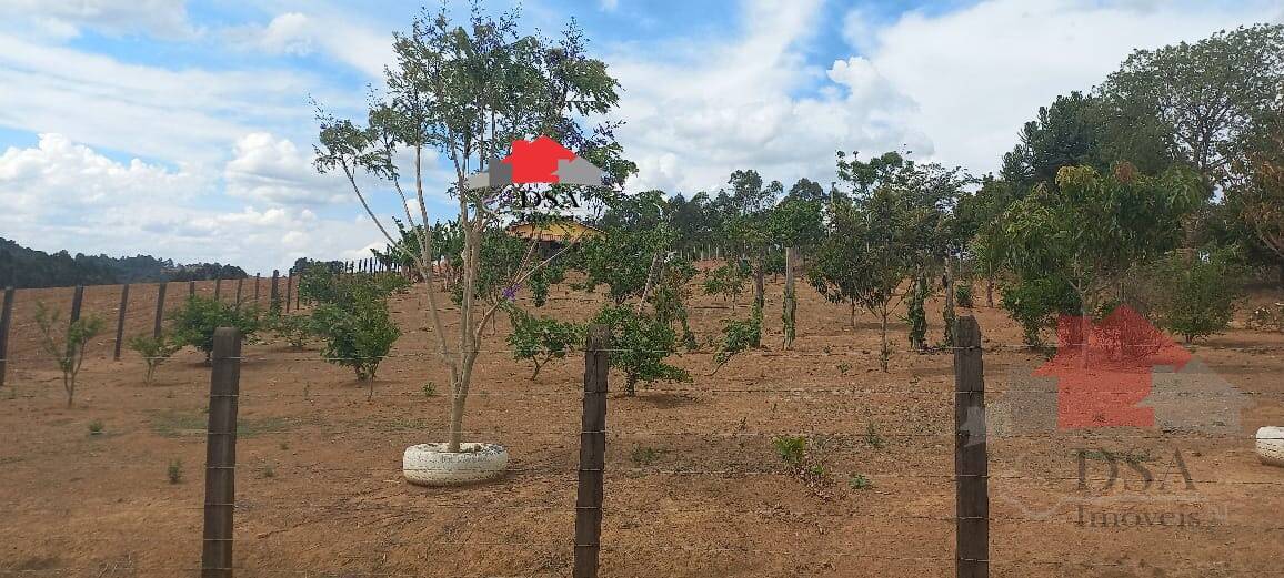 Chácara, 3 quartos, 3850 m² - Foto 11