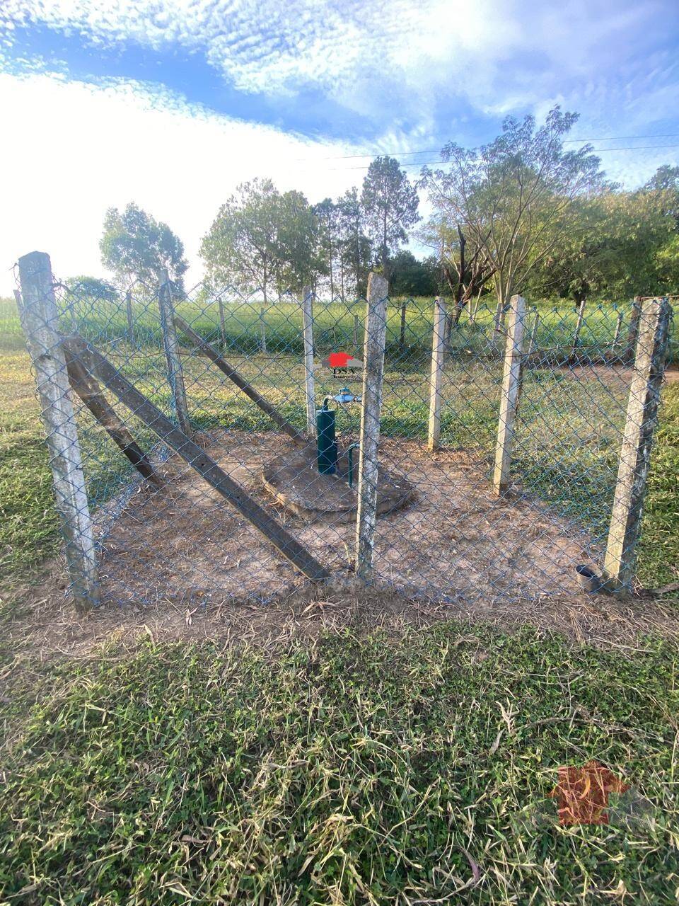 Sítio, 2 quartos, 2 hectares - Foto 11